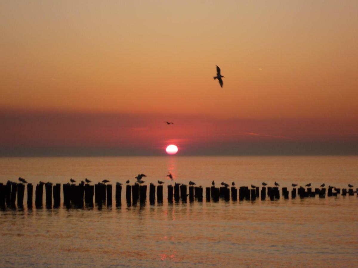 Vakantiehuis Domburg, kindvriendelijk DO02 Buitenkant foto